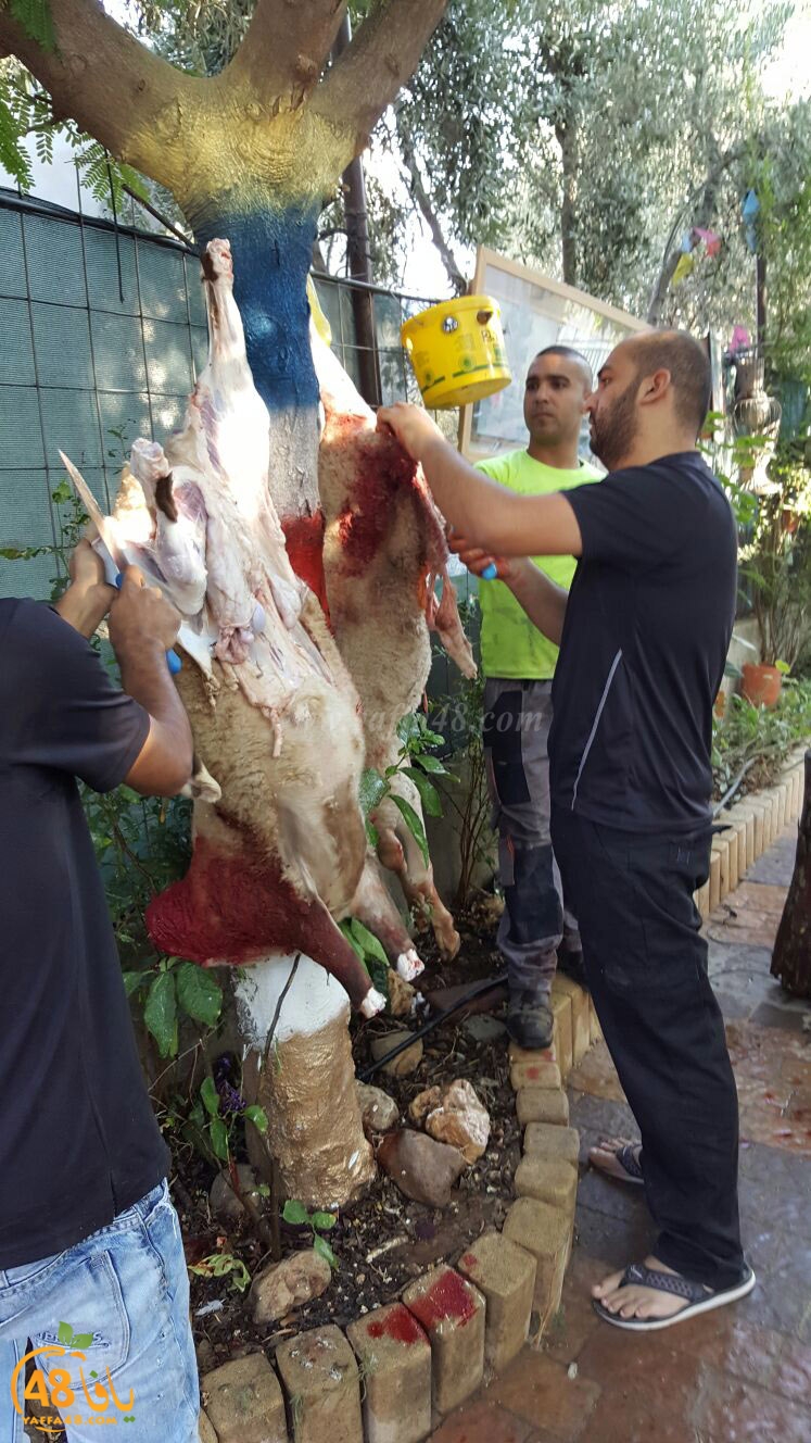 dab7 ada7y wu3ed (25).jpg